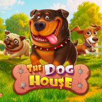 The Dog House-PRAGMATIC